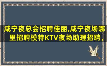 北京夜场招聘